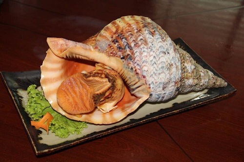 Món ốc biển shinbashi